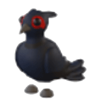Black-Chested Pheasant
