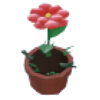 Growing Flower Hat